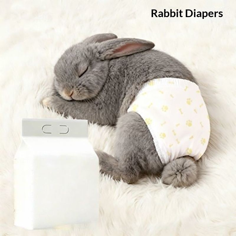 Pet Diapers Prevent Pissing Rabbits Dedicated Diapers butt Pocket ...