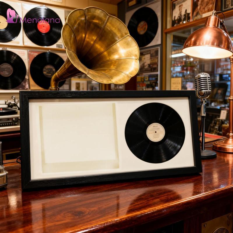 [Menolana] CD Display Stand Wall Dcor Disc And CD Box for Wall Mounted ...