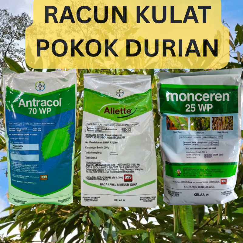[1 Set ] Aliette 250g + Antracol 70WG 1kg + Monceren 500g set Fungicide ...