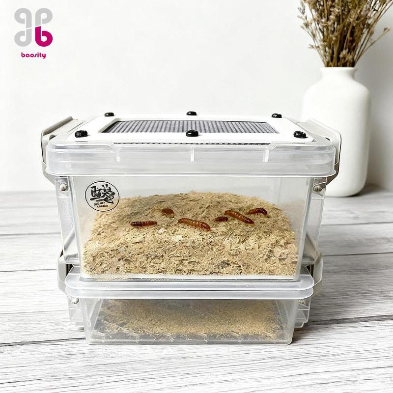 [Baosity] Lightweight and Portable Critter Keeper Cockroach Feeder ...