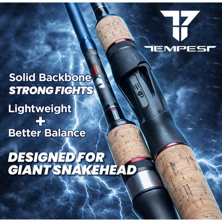 EXP TEMPEST SPINNING CASTING FISHING ROD | Shopee Malaysia
