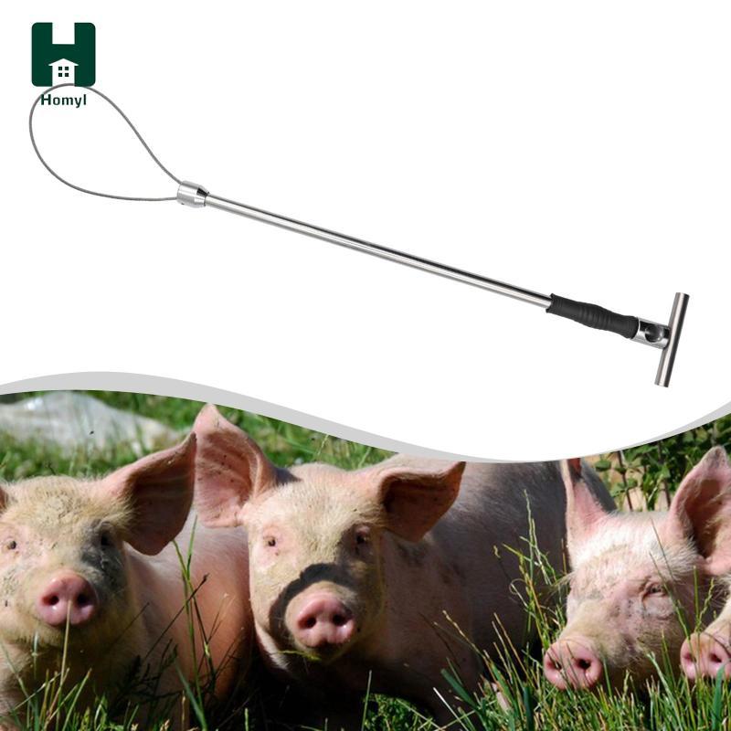 [Homyl] Animal Catch Pole Secure Stainless Steel Catcher Tool for Dog ...