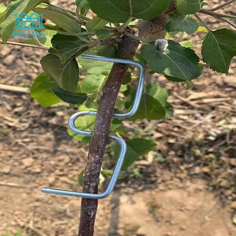 Gralara Metal Branch Bender Garden Accessory for Fruit Tree Plant ...