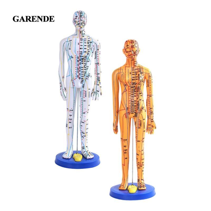 [Garende] Chinese Medical Acupuncture Model PVC Teaching Prop PVC Human ...