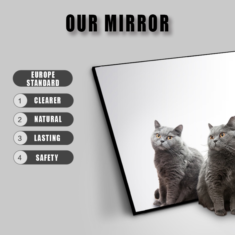 [No Drilling] Bathroom Wall Hanging Mirror Self-Adhesive Wall-Mounted ...