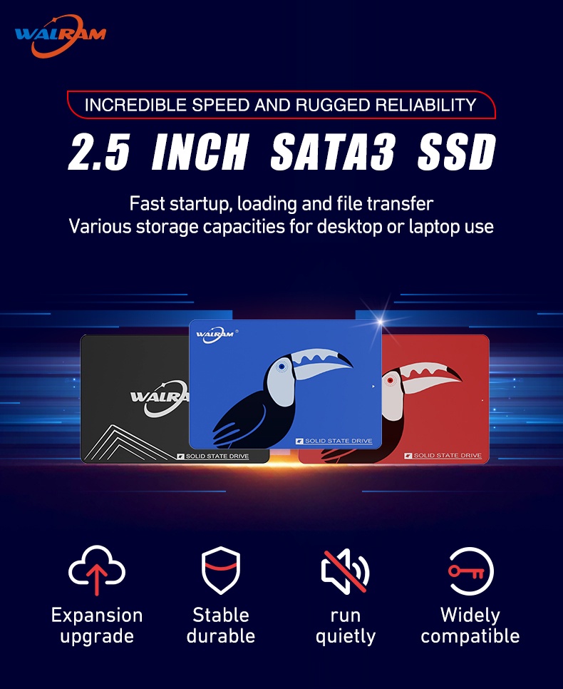 Walram 2TB SSD Sata3 Hard Disk Internal Hdd Solid State Drive For ...