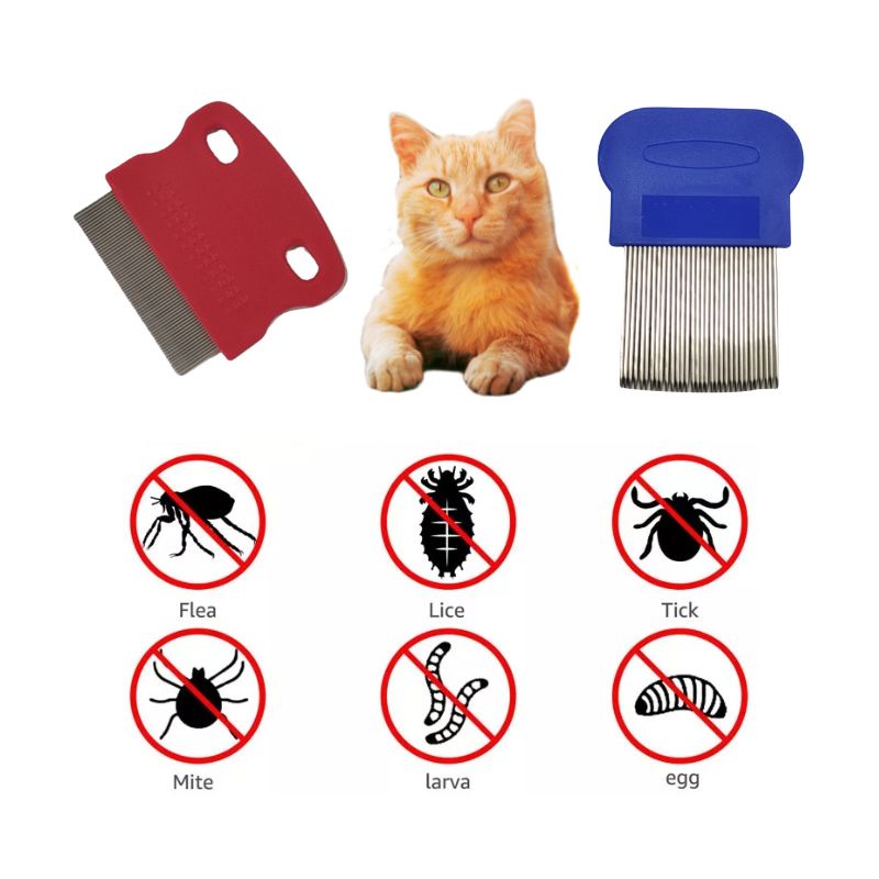 Sikat Kutu Kucing Sisir Kutu Kuching Sikap Lice Comb Cat Photo Inspiration