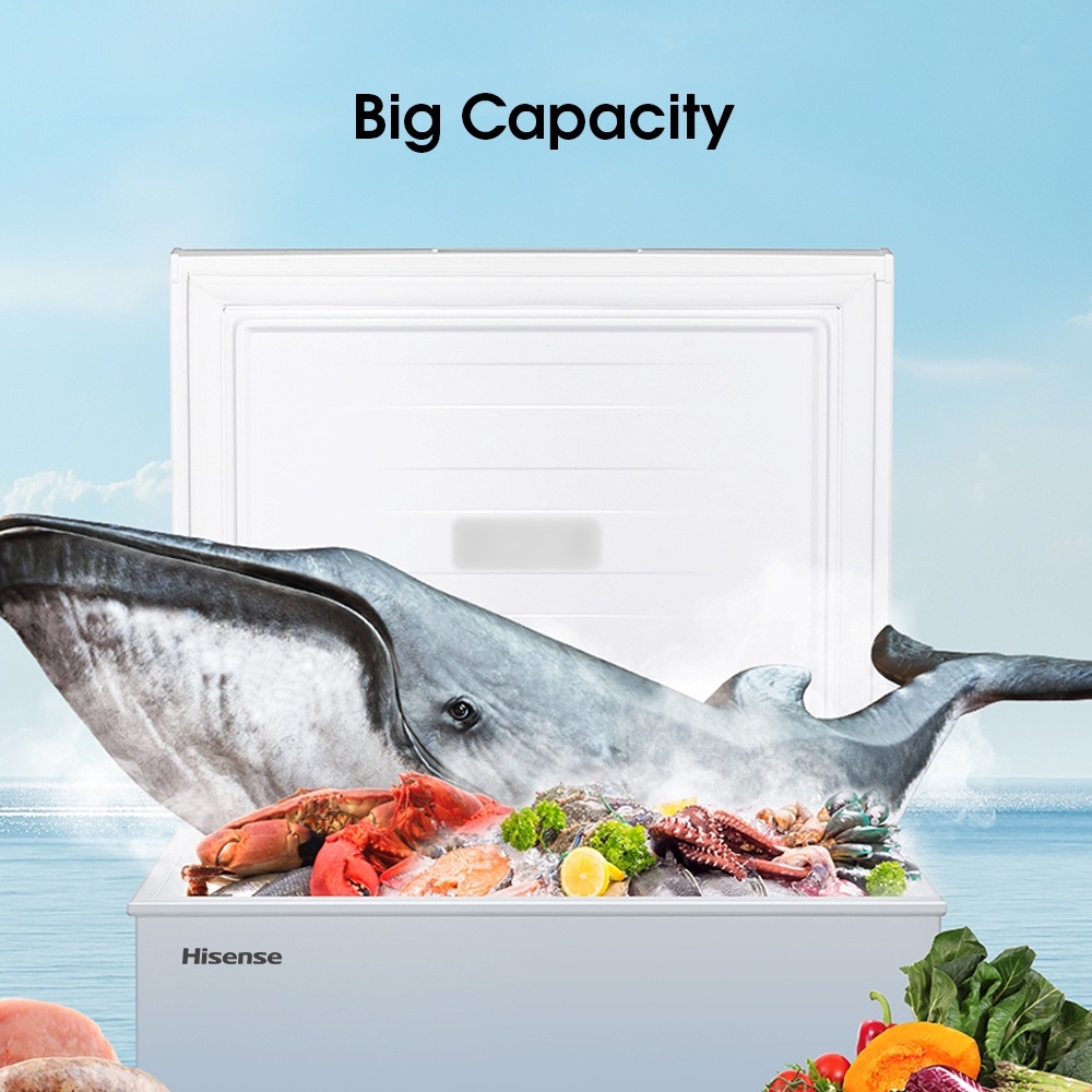 CAN SETUP Hisense Chest Freezer 178L Peti Freezer Murah Deep Freezer