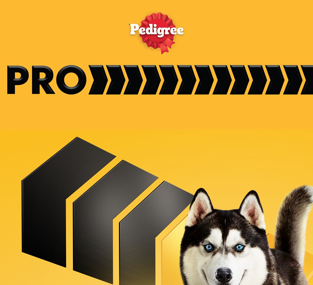 Pedigree dog food outlet for husky