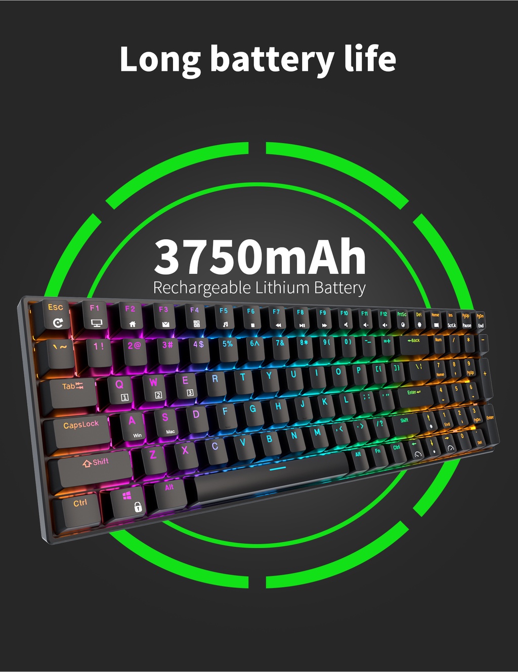 Royal Kludge RK100 RK 860 Bluetooth 2.4G Tri Mode 100Key RGB ...