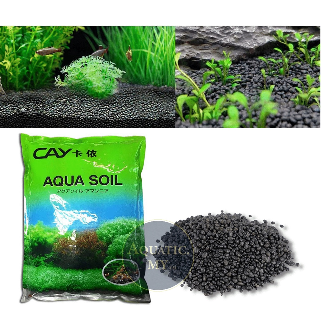 Cay aqua cheap soil