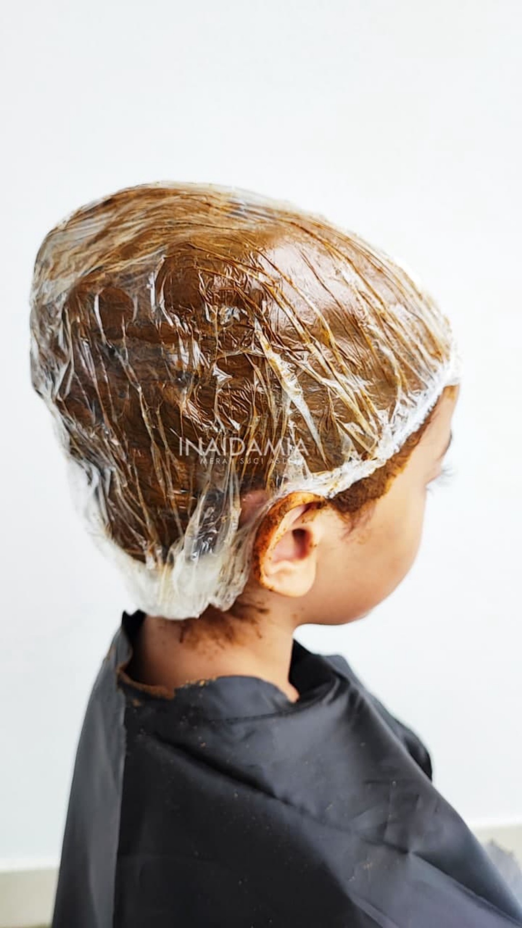 ORIGINAL INAIDAMIA, INAI SERBUK (PUREHENNA) INAI RAMBUT PREMIUM ...