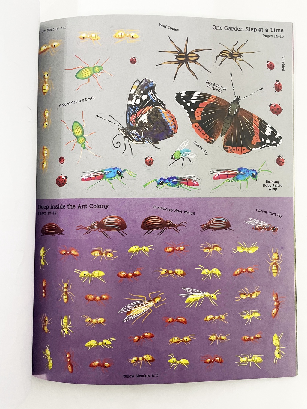 Incredible Insects Giant Stickers Activity Book For Kids To Learn All ...