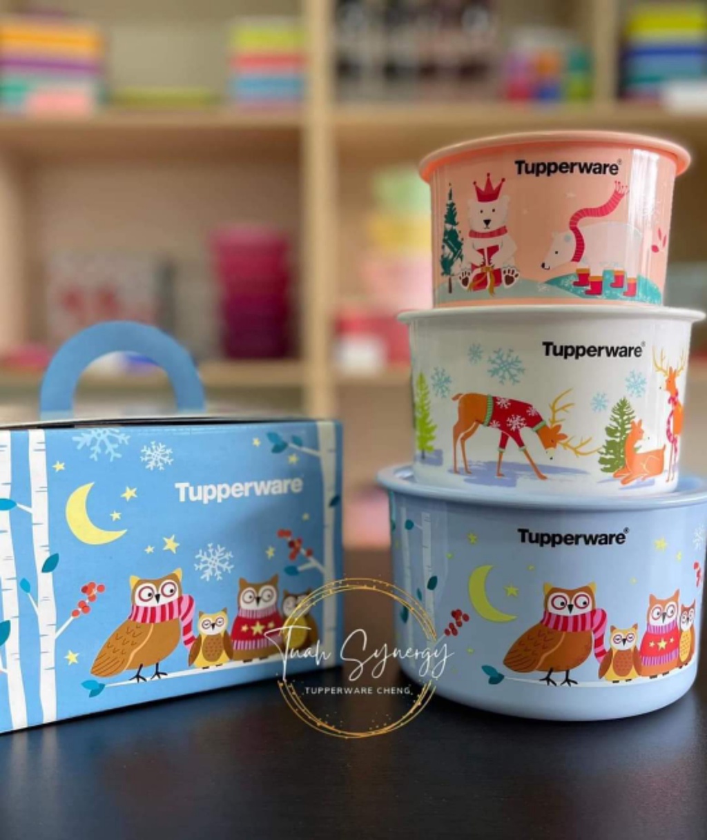 Tupperware Limited Edition Winter Fantasy Set Airtight Liquid Tight ...