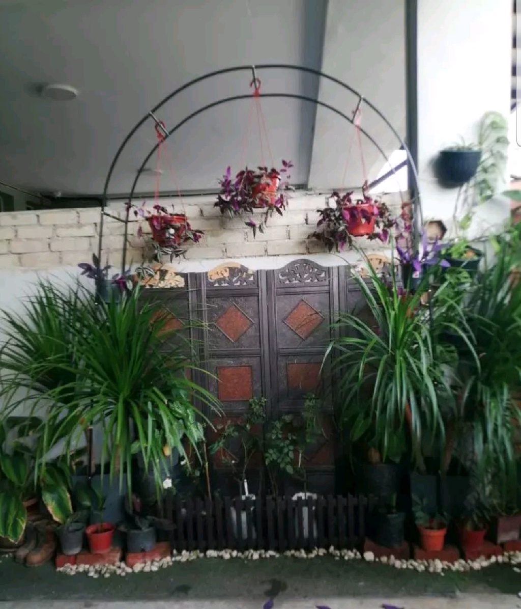 Garden Decoration Outdoor Arch Rack Wrought Iron Arch Wall Trellis For ...