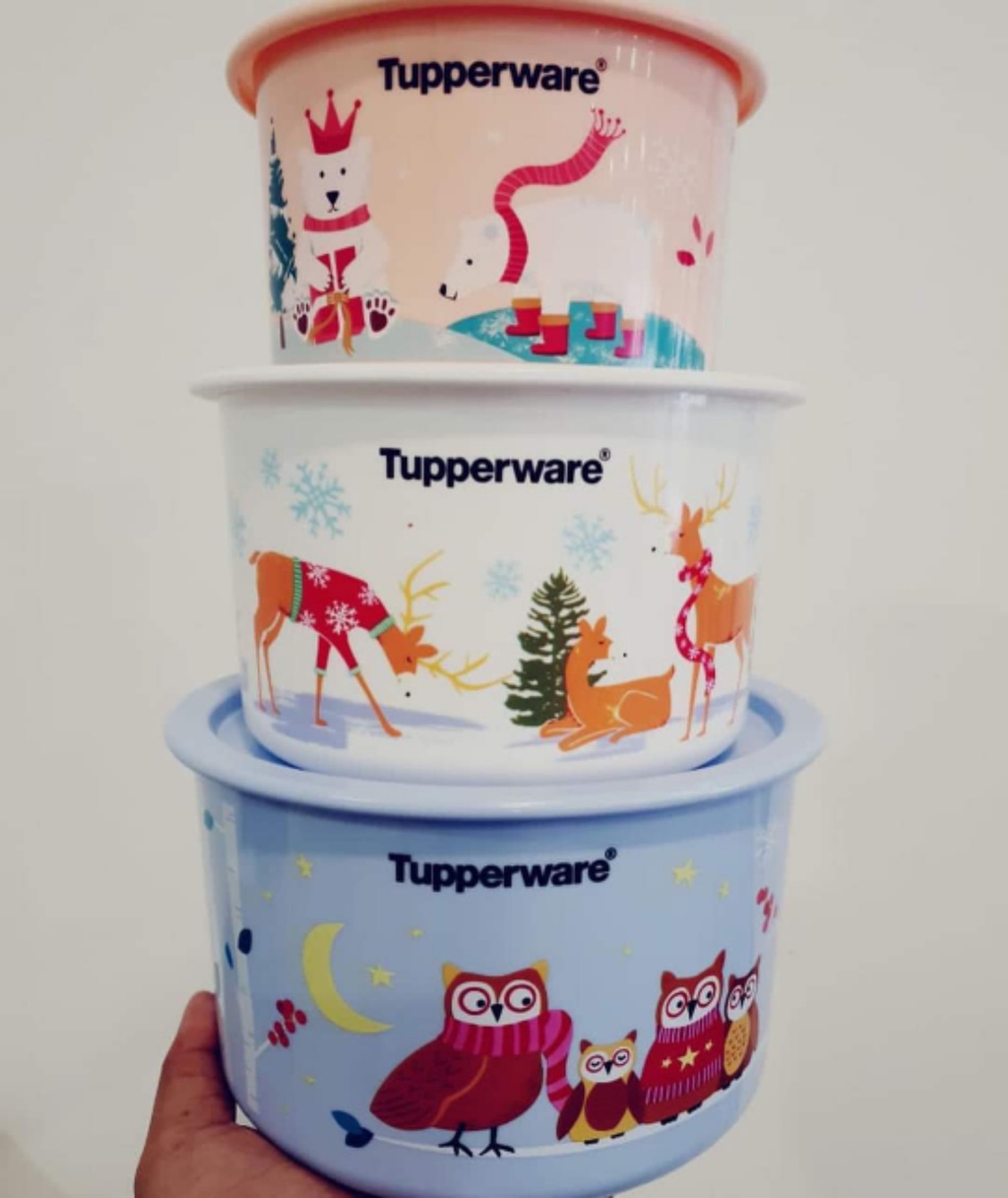 Tupperware Limited Edition Winter Fantasy Set Airtight Liquid Tight ...