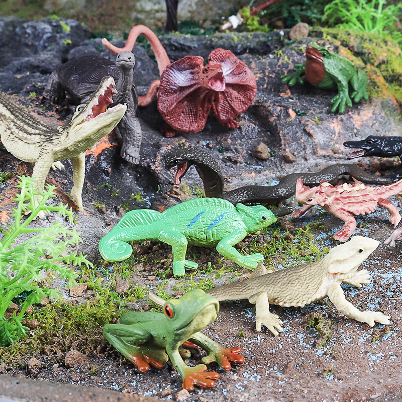 Simulation reptile mini lizard crocodile cobra amphibian set model ...