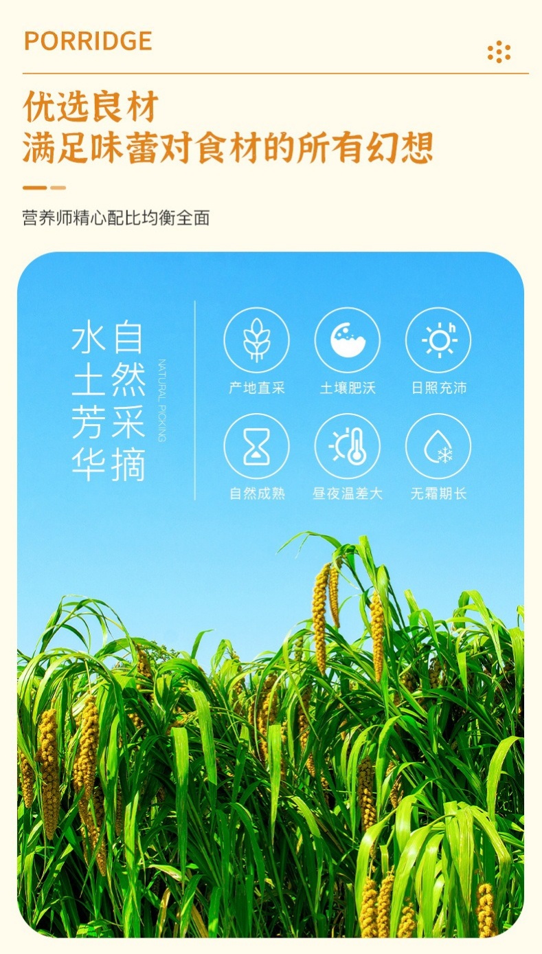 🇲🇾 现货 - Vacuum Packed Yellow Millet 1KG 双层真空装 内蒙古赤峰黄小米 黄金苗黄小米 1KG ...