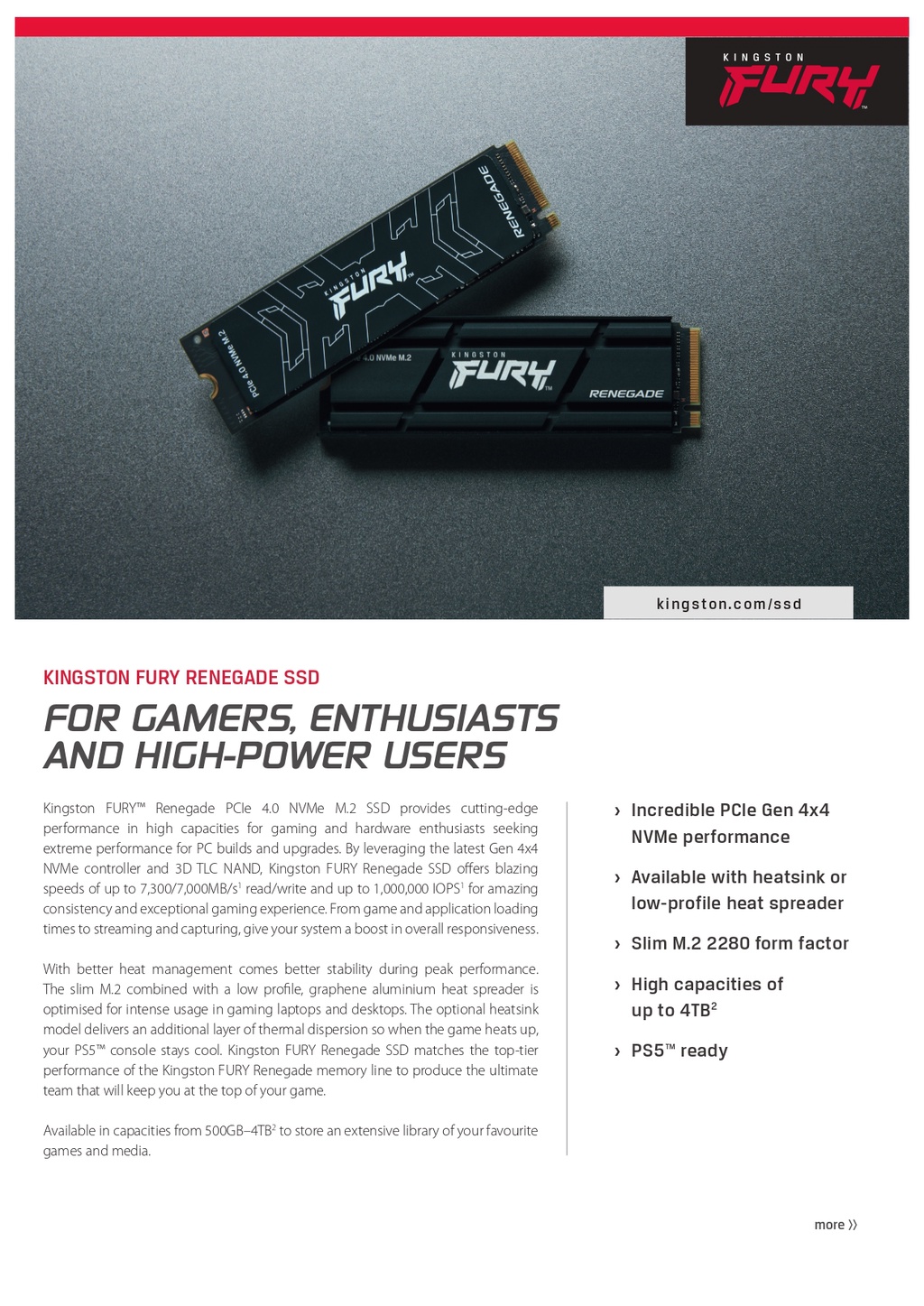 Kingston SFYRDK/4000G Fury Renegade 4TB PCIe Gen 4 NVMe M.2