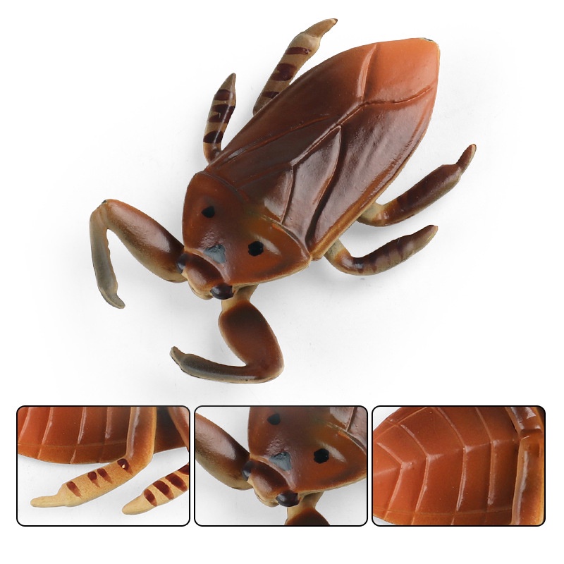 giant water bug insect toy simulation model kids early education animal ...