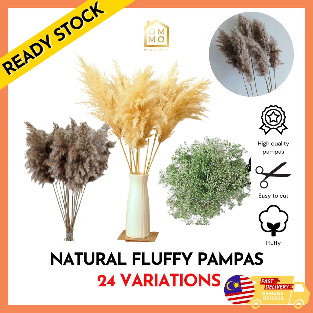 Rhea Natural Fluffy Pampas Grass Reed Baby Breath Dried Flower Leaf ...