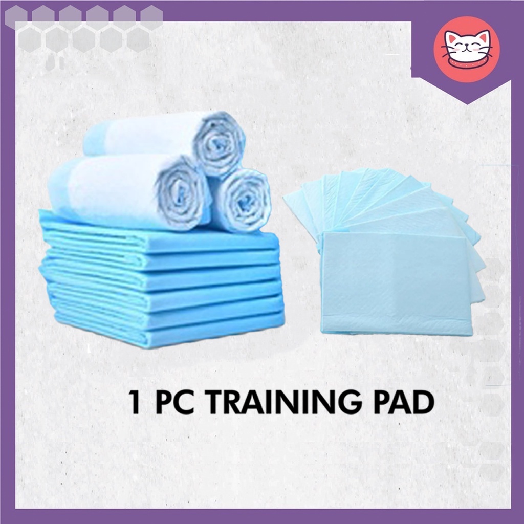 🔥1 PC/5 Layer🔥 Premium Pet Puppy Training Mat Wee Wee Pad Urine Pat for ...