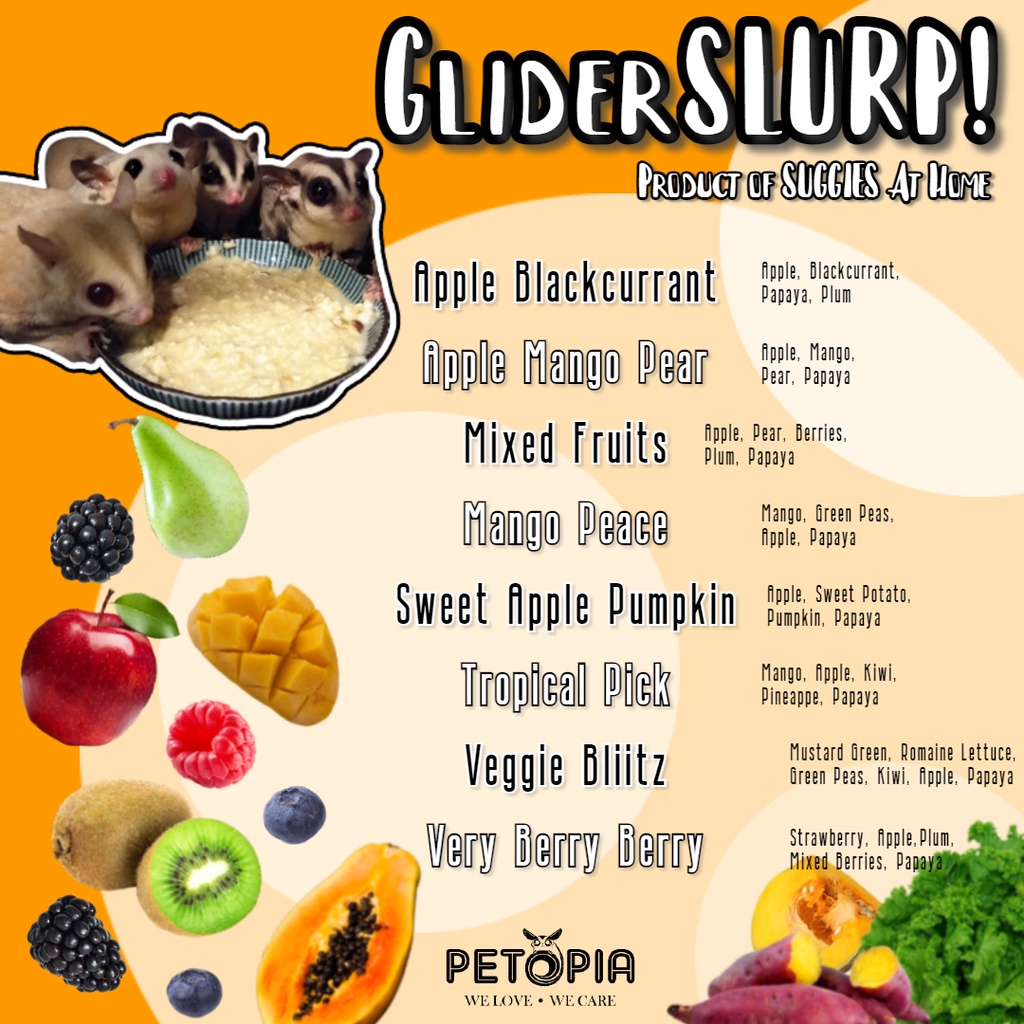 Glider Slurp Sugar Glider Food Frozen PETOPIA Gliderslurp Sugar Glider All In One Staple Dinner Glider Smoothie Shopee Malaysia