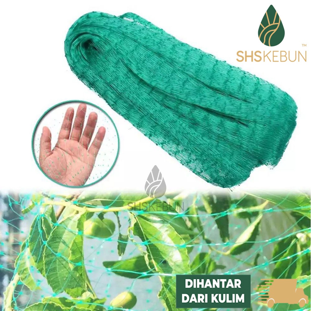 Anti Bird Net Protect Tree Net Jaring Anti Burung Jaring Burung SHS