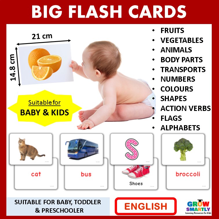 Early Learning Flash Card for Baby Big Flash Card for Kids Educational Cards Fruits Vegetables