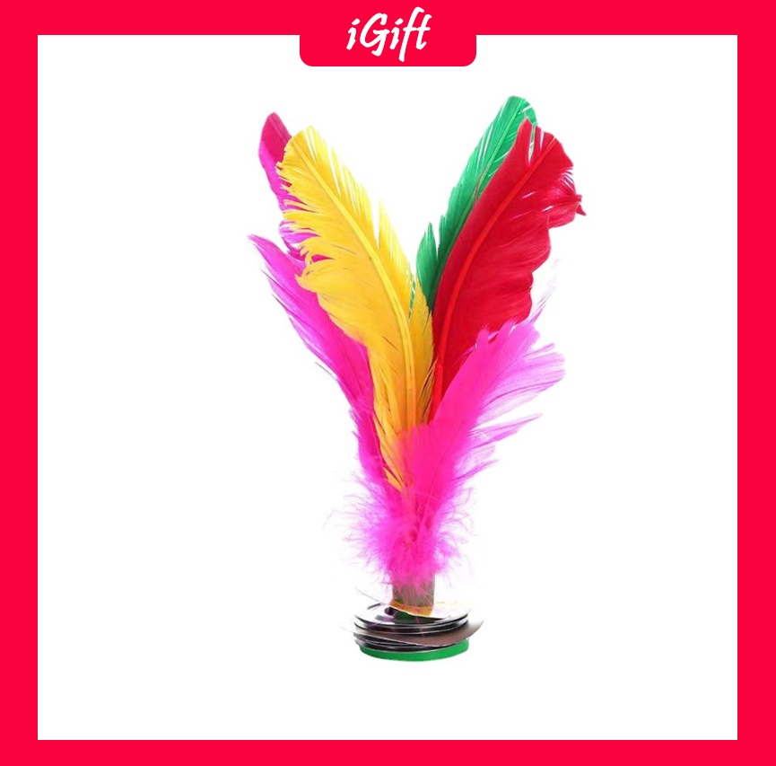 Sepak Bulu Ayam/ Chapteh/Kenchu/Igift | Shopee Malaysia