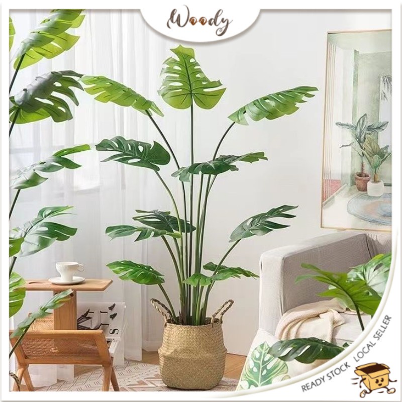 【Woody】Pokok Hiasan Dalam Rumah Artificial Plant FIDDLE FIG RUBBER
