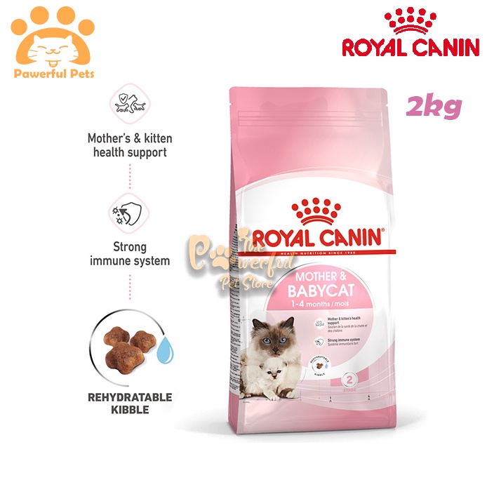 Royal Canin FHN Mother Babycat Cat Kitten Original Cats Dry Food