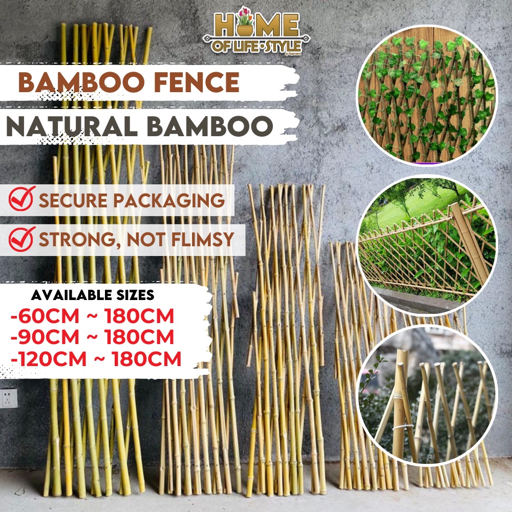 HOLS Bamboo Fence Indoor Outdoor Decoration Expandable Bamboo Plant
