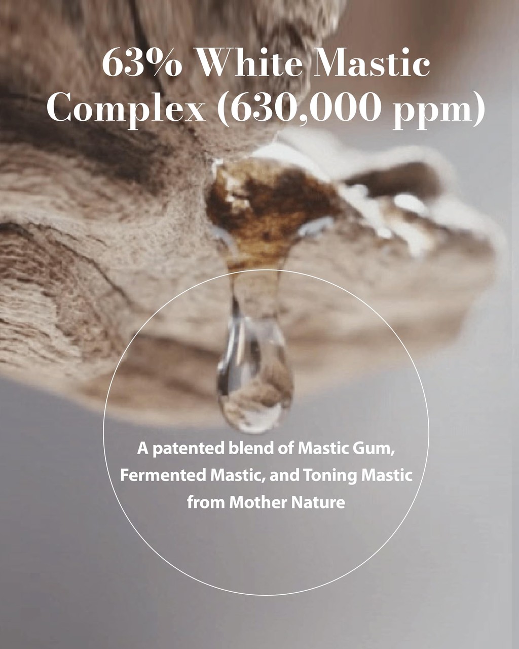 Sérum Ampoule Mastic 6 Heures - Complexe De Mastic Blanc 15ml - Anti-âge & Imperfections - Corée