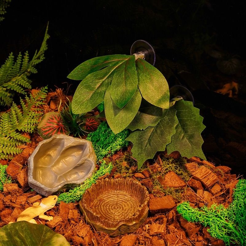 Climbing Pets Avoid Lizards Horned Frogs Water Basins Food Basins ...