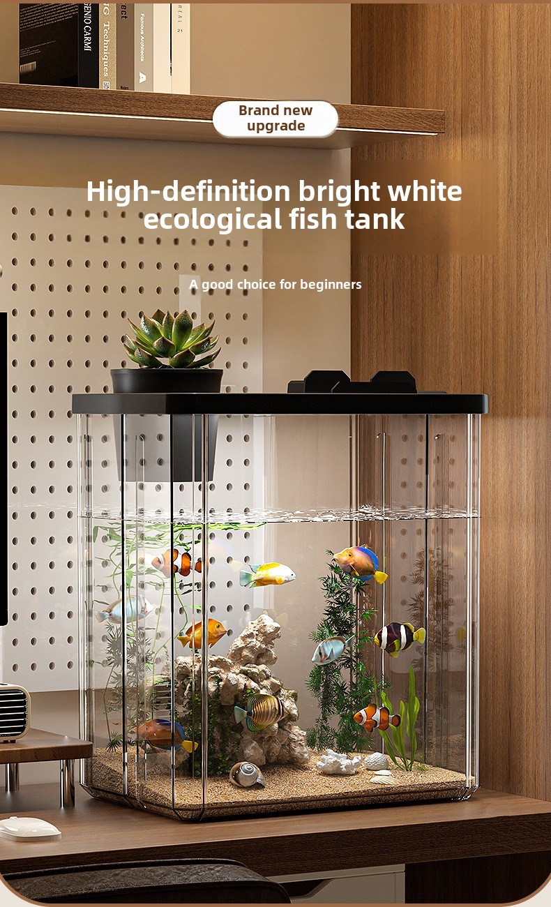 Air Eliminated Office Goldfish Tank preview