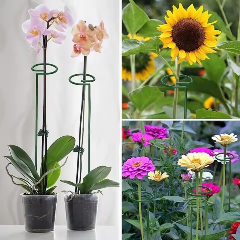 Garden Plant Support Stakes Heavy Duty Iron with Plastic Coating, Green ...