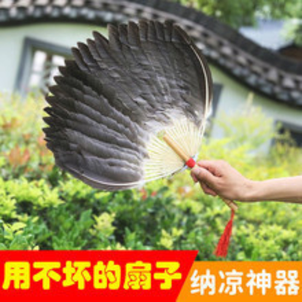Red Cat Ipoh Feather fan 孔明扇 | Shopee Malaysia