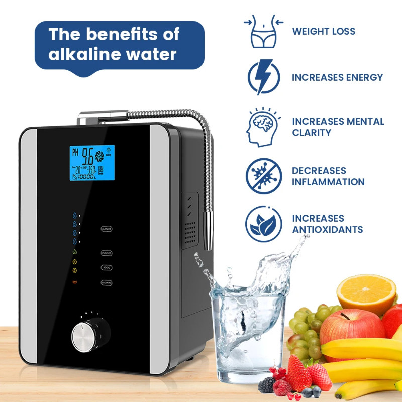 Japan Technology Kangen Su Platinum Coating Alkaline Water Machine 11 ...