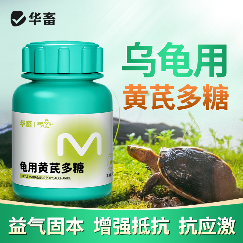 Genuine Turtle Dedicated Yellow Swallow Polysaccharide Vitamins Promote ...