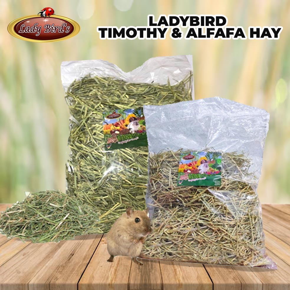 Premium Grade Alfalfa Timothy Hay 500g/1kg - for Rabbits, Guinea Pigs ... - Alfalfa Hay Guinea Pig Protein Content