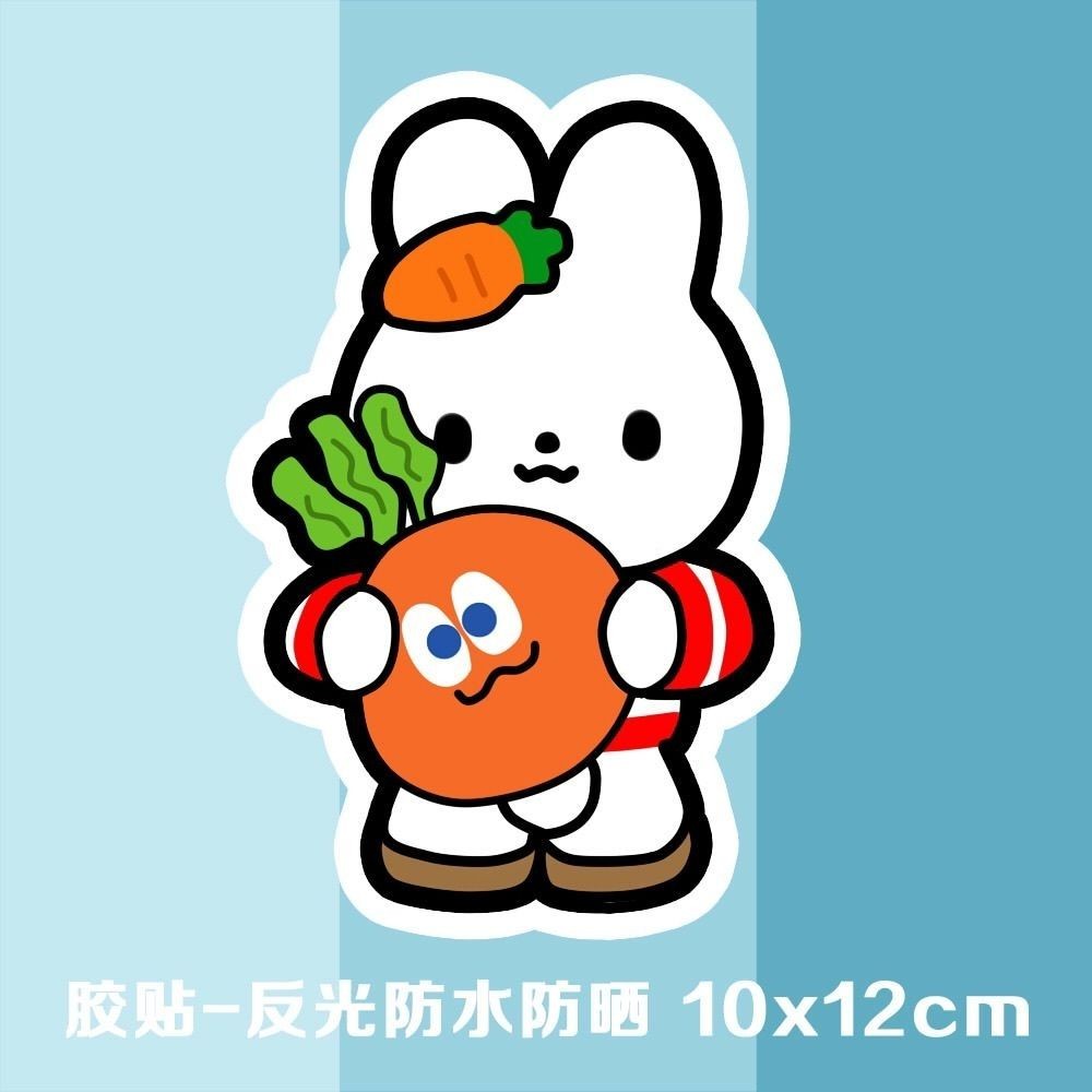 Mayday Concert Shenzhen Innocent Rabbit Wmls Carrot Material Custom Car ...