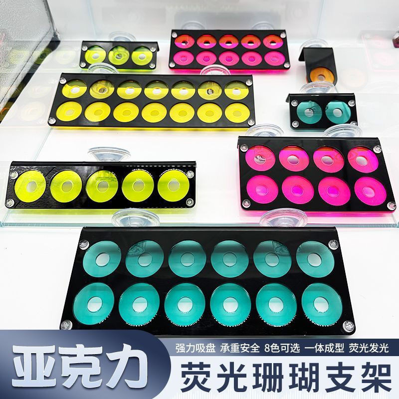 [READY STOCK]Fluorescent Acrylic Coral Base Sea Tank Coral Placement ...