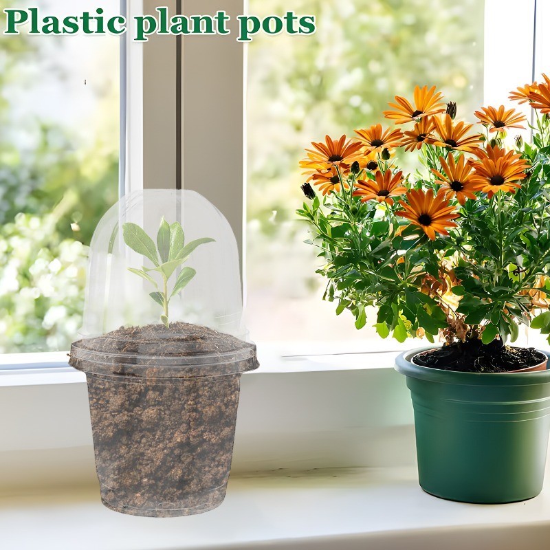 10Pcs Seed Plant Nursery Pots - Plant Nursing Growing - Transparent ...