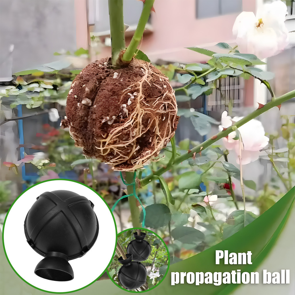 Universal Tool for Garden Pressure Strip Propagation - Durable ...