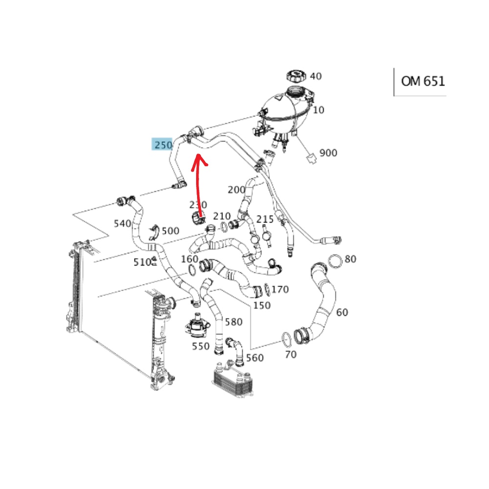 Original Mercedes Benz Radiator Expansion Tank HOSE (VENT) W212E300
