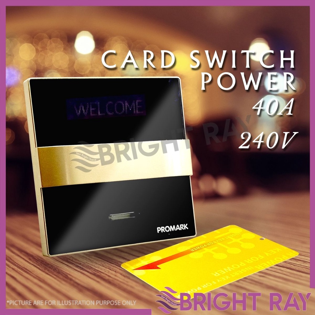 PROMARK Switch Insert Key for Power Magnetic Homestay Electrical Hotel ...