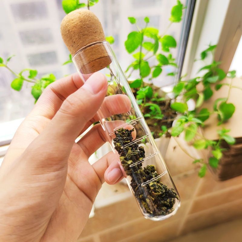 Glass Test Tube Tea Filter Office Tea Set Accessories | Shopee Malaysia