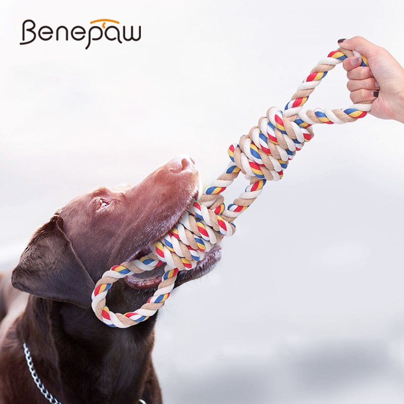 Benepaw 2 Handles Medium Large Dog Rope Toys Play Tug Game Durable ...
