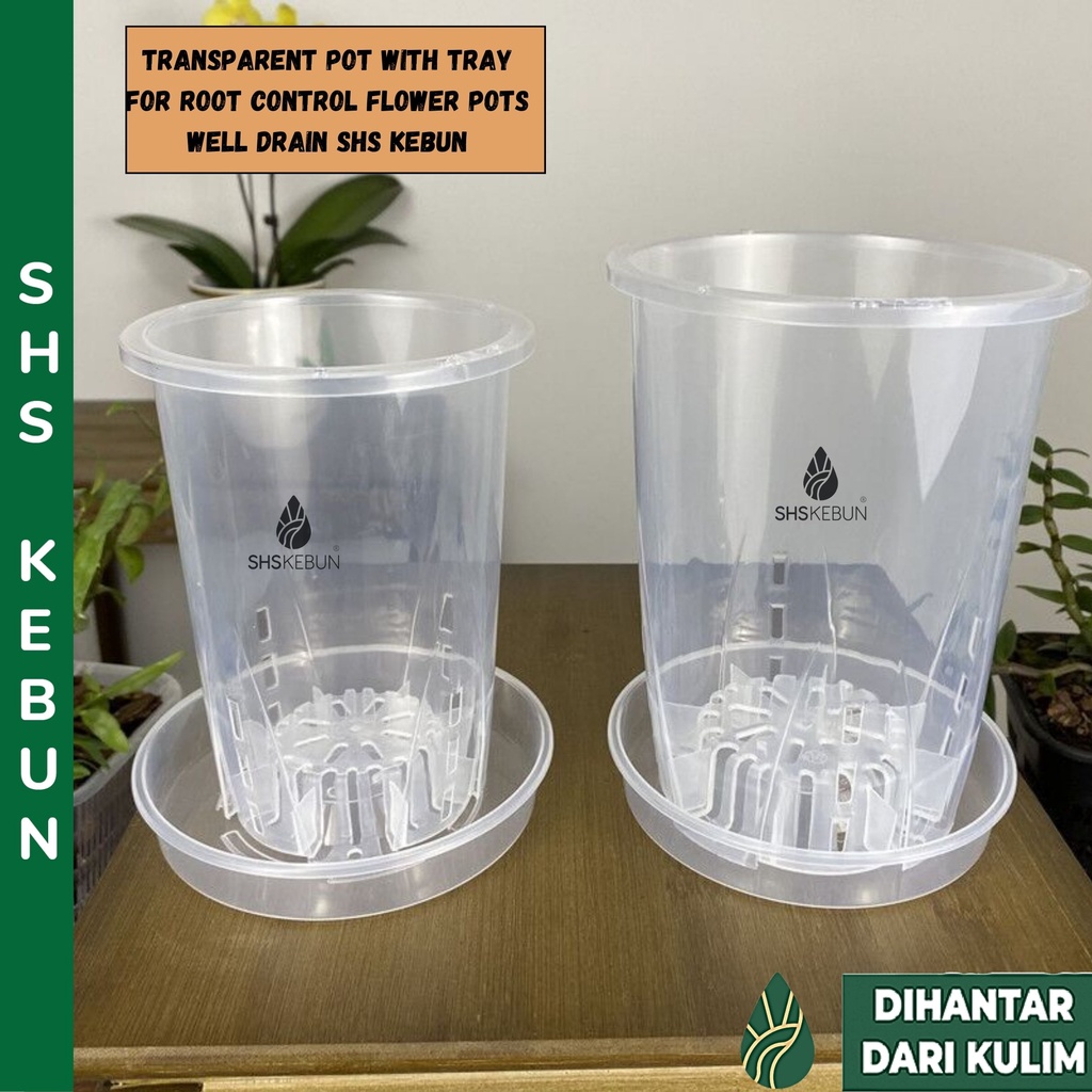 Transparent Pot With Tray For Root Control Flower Clear Pots Well Drain ...